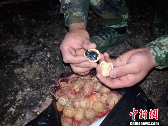 云南边防盘点“奇葩”运毒法：核桃里包冰毒