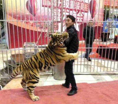 案发前,马戏团团长李荣庆在演出中。受访者供图